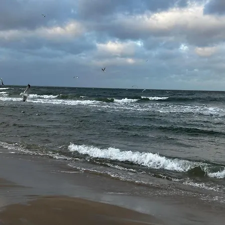 Amber Island - Second Home, Wyspa Sobieszewska *