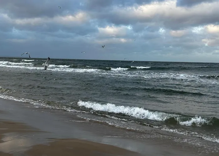 Amber Island - Second Home, Wyspa Sobieszewska *